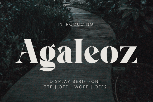 Agaleoz: A Serif Font Designed for Real Projects
