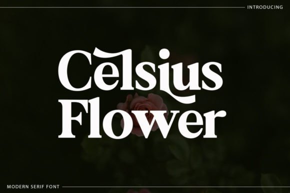 Celsius Flower Brings Elegant Serif Style to Branding