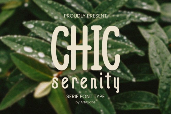 Chic Serenity Serif Font for Handmade Products and Printables