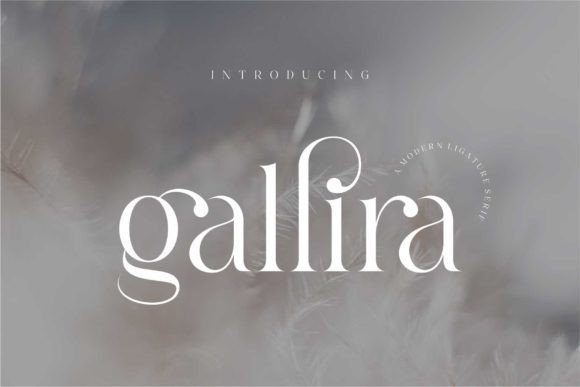 Gallira: The Serif Font for Handmade Products with Elegant Appeal