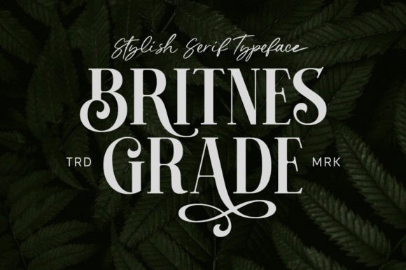 How Britnes Grade Serif Font Gave My Small Business a Polished Look