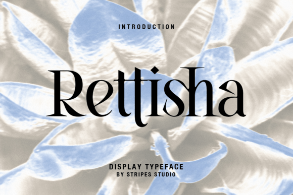 Rettisha Font for Web Design: A Serif Display Typeface That Elevates Digital Branding
